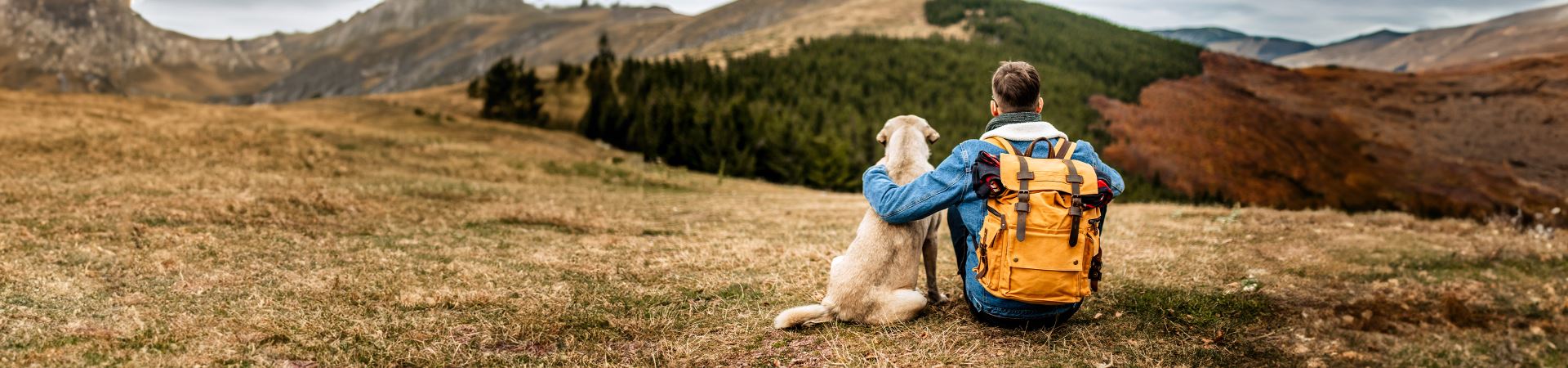La imagen muestra a un chico de espaldas, sentado, y a su lado está sentado un perro grande. Los dos disfrutan de las vistas de las densas montañas. El chico lleva una mochila a la espalda y su brazo izquierdo se apoya sobre el perro.